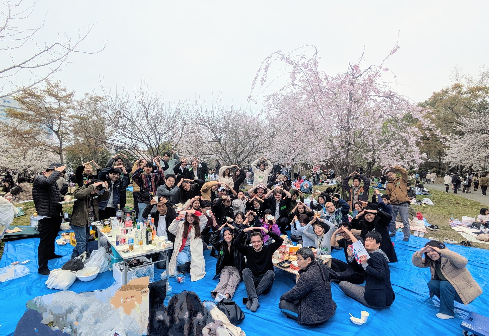 お花見イベントの様子